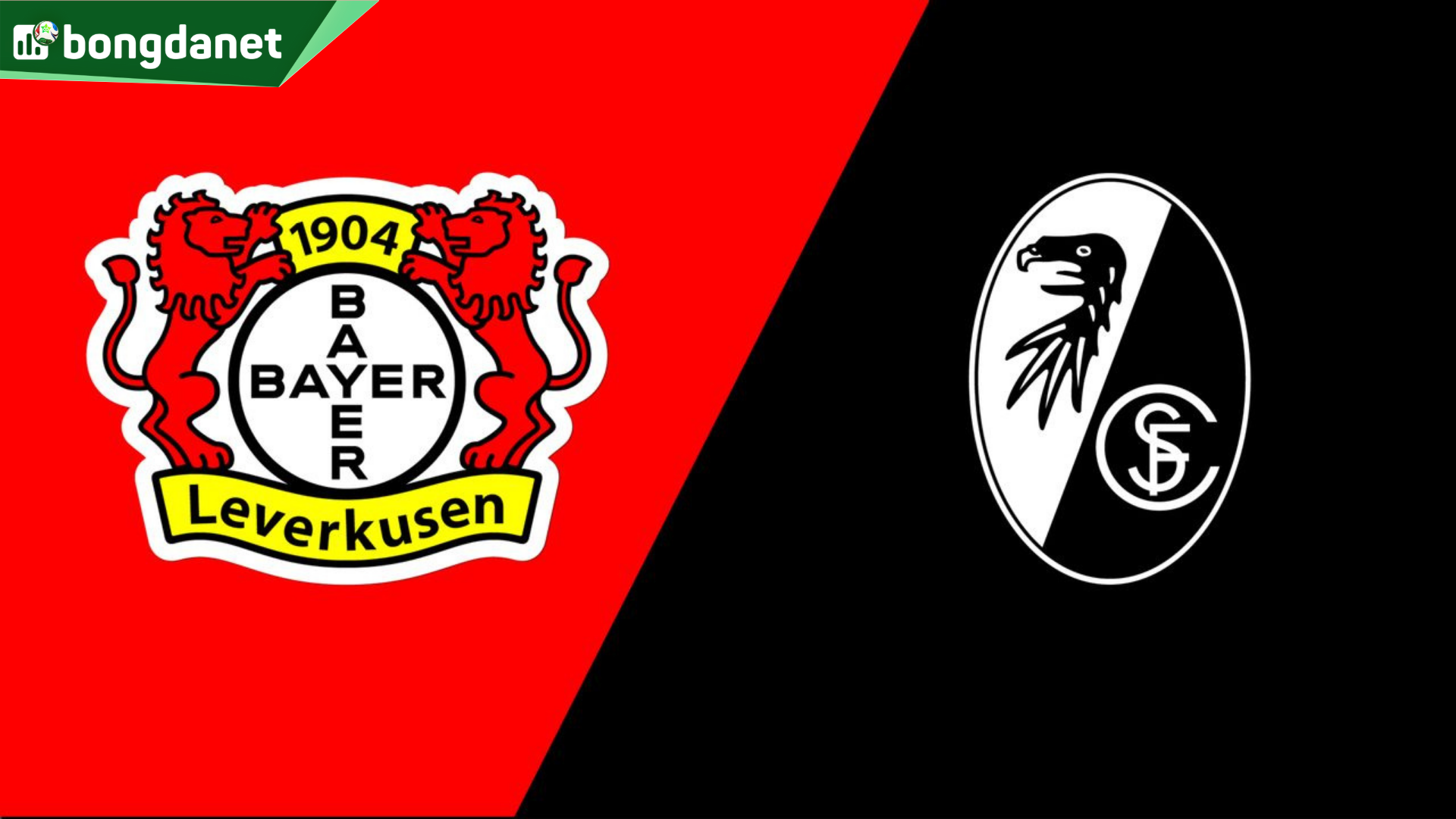 Nhận định trận đấu Bayer Leverkusen vs SC Freiburg
