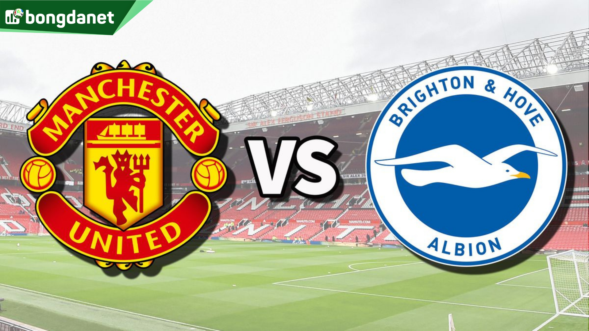 Nhận định trận đấu Manchester United Vs Brighton