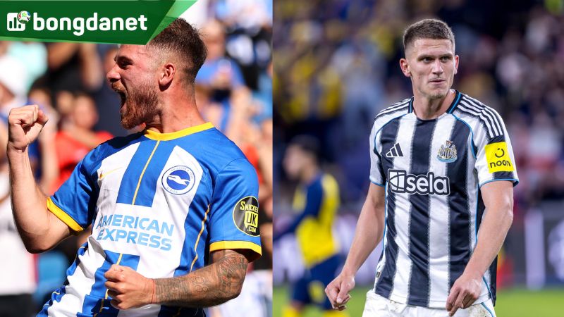 Phân tích chung trước trận đấu giữa Brighton & Hove Albion vs Newcastle United